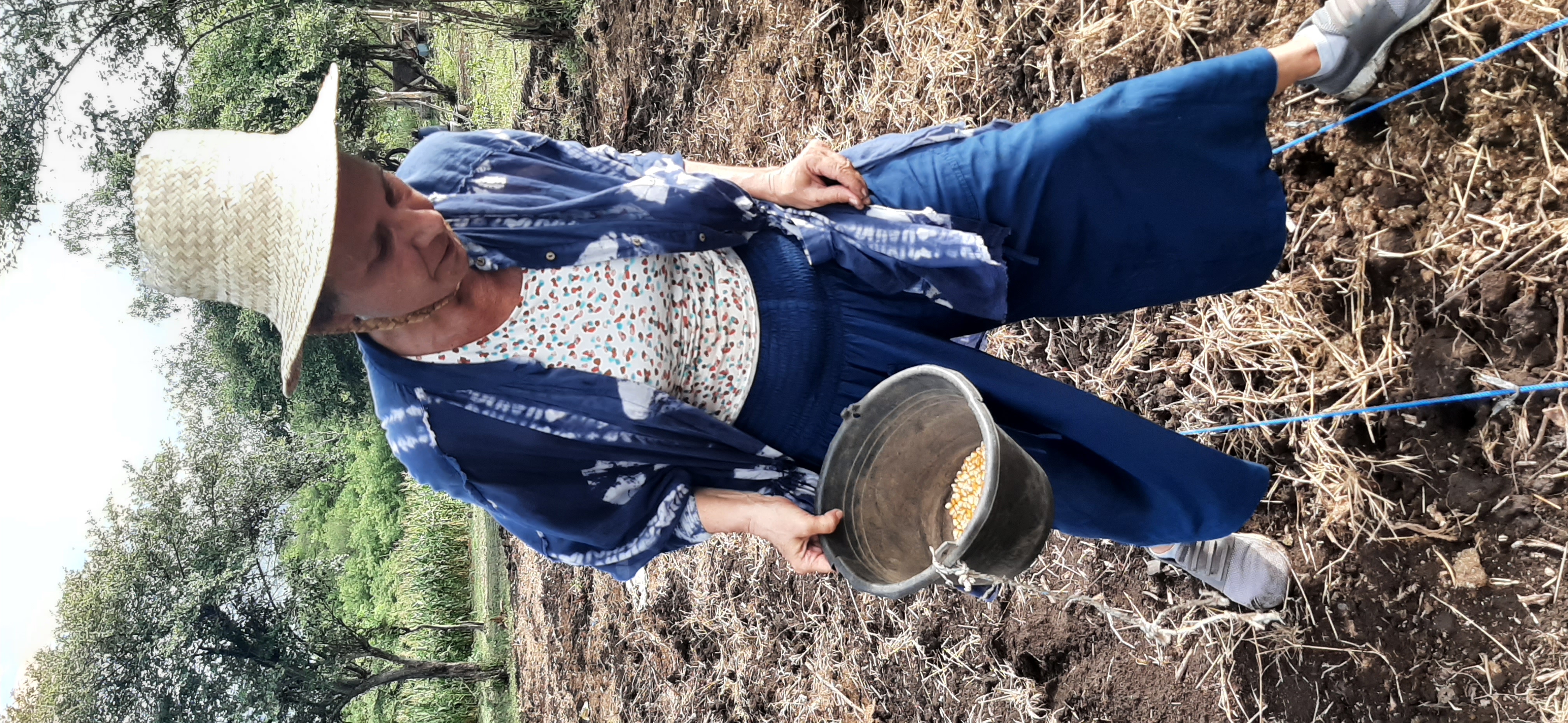Volunteers Planting Seeds